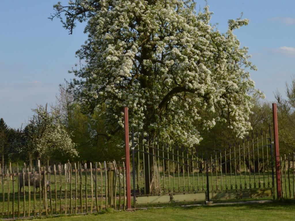 With A Broad View Over The Hilly Landscape Flobecq Exterior foto